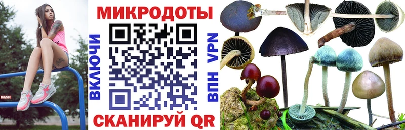 как найти наркотики  Бор  Галлюциногенные грибы Magic Shrooms 